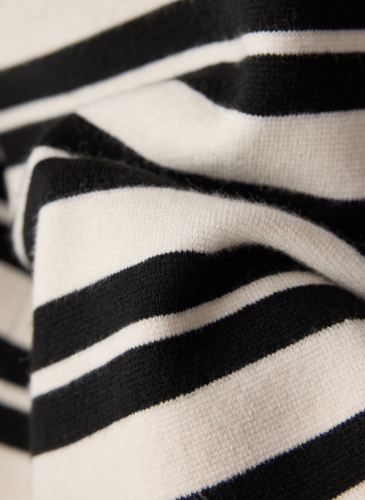 Zebra Noir