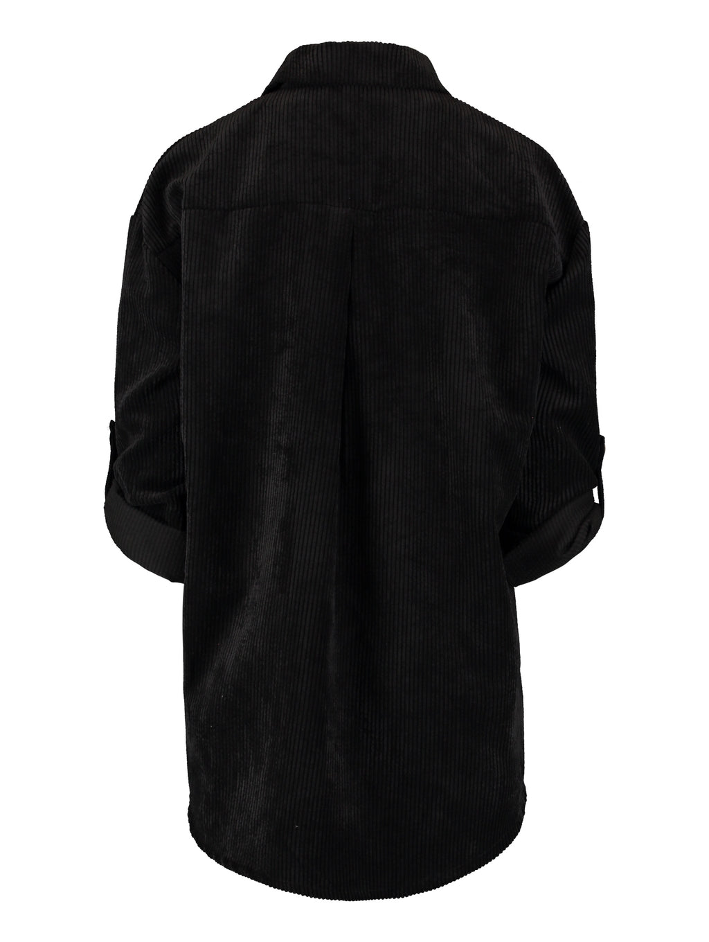 Modell: LS P BL Robina