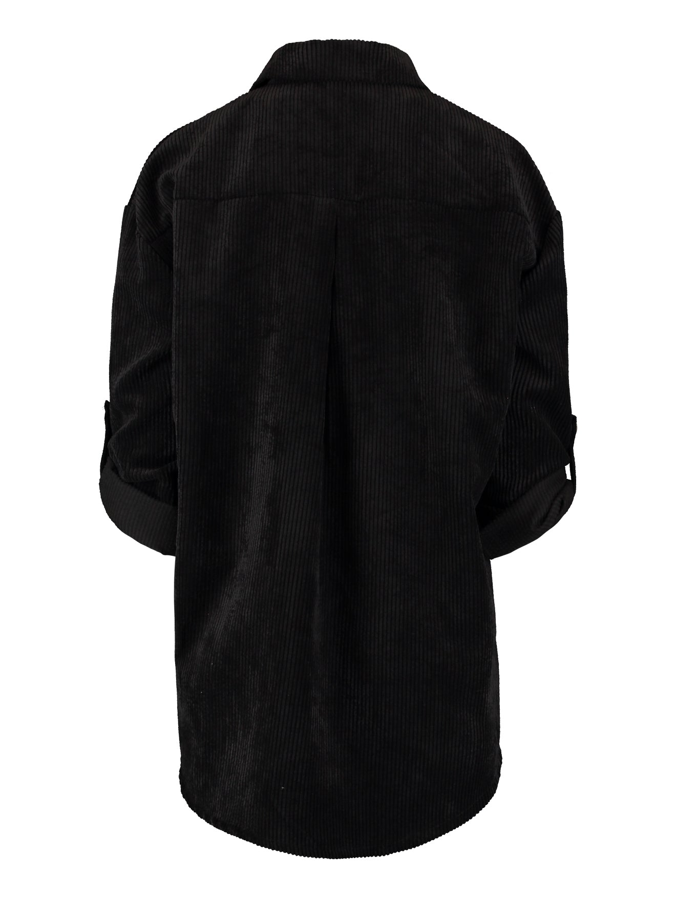 Modell: LS P BL Robina