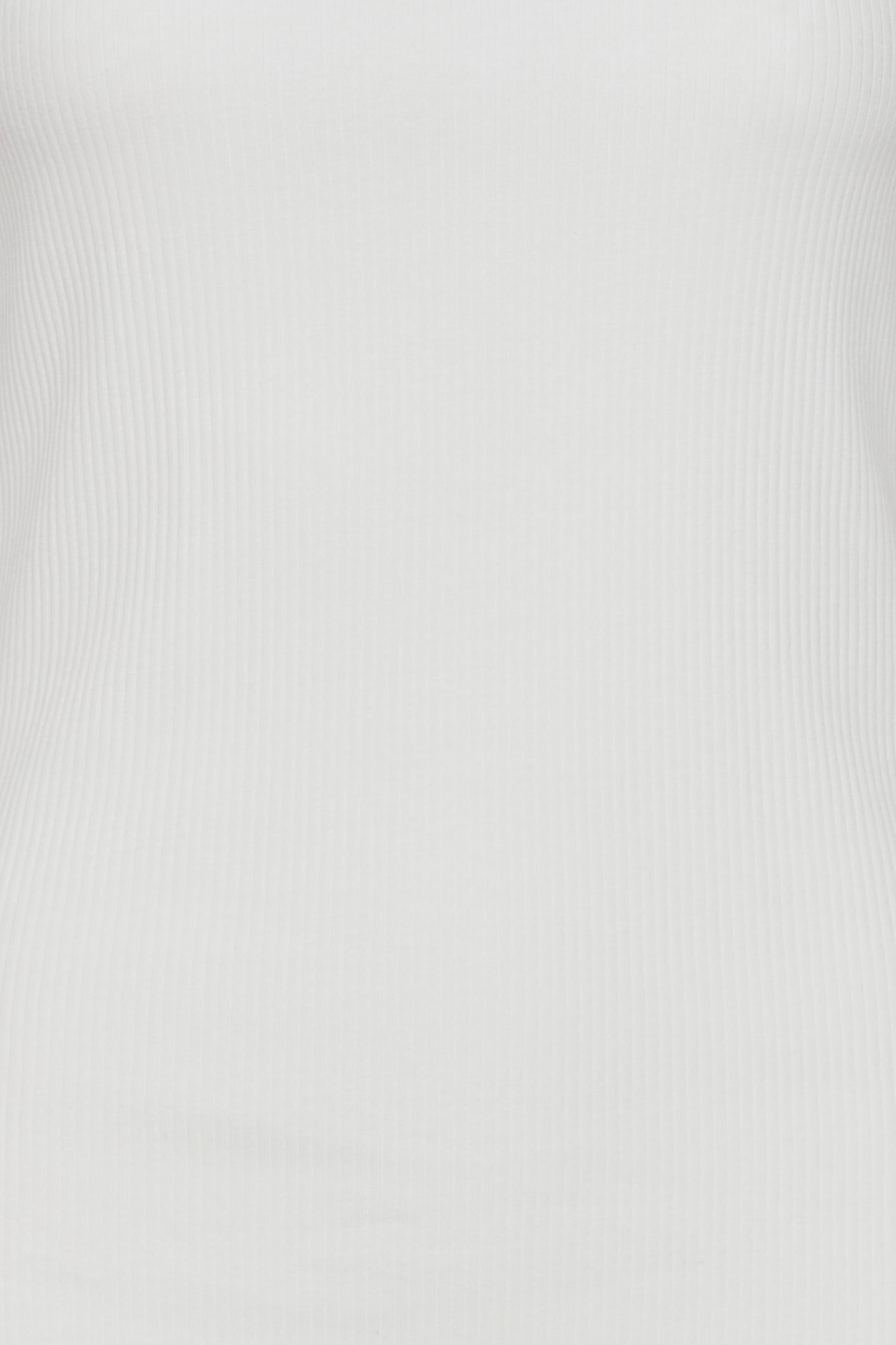 IHPALMER RIB SS