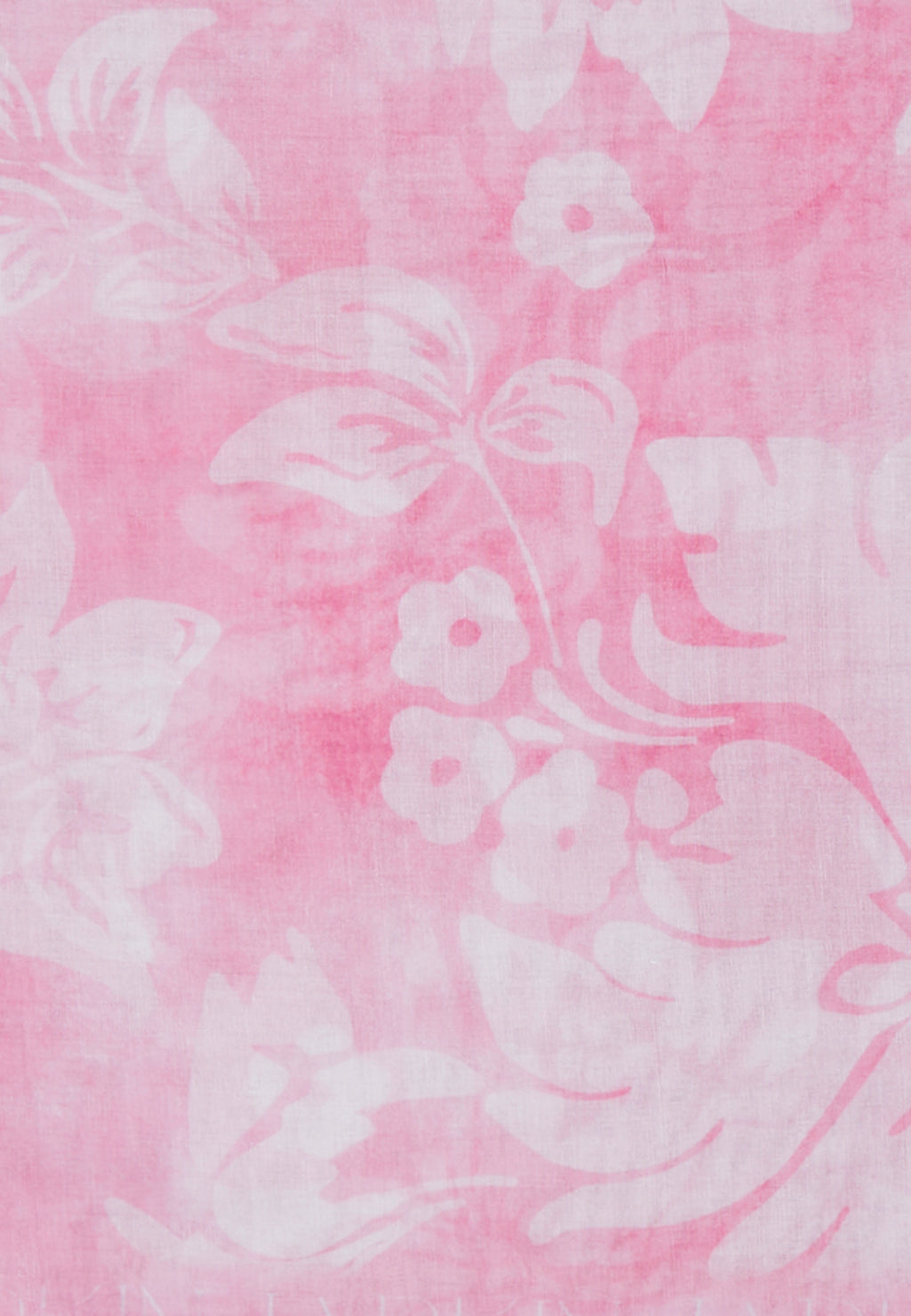 Powder Rose