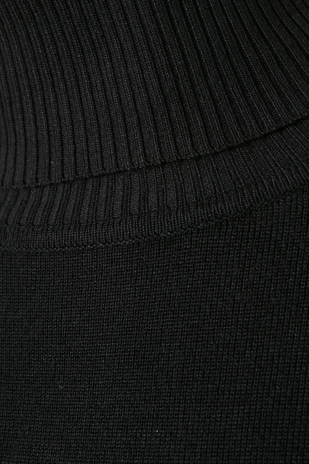 Rollkragenpullover | Mila