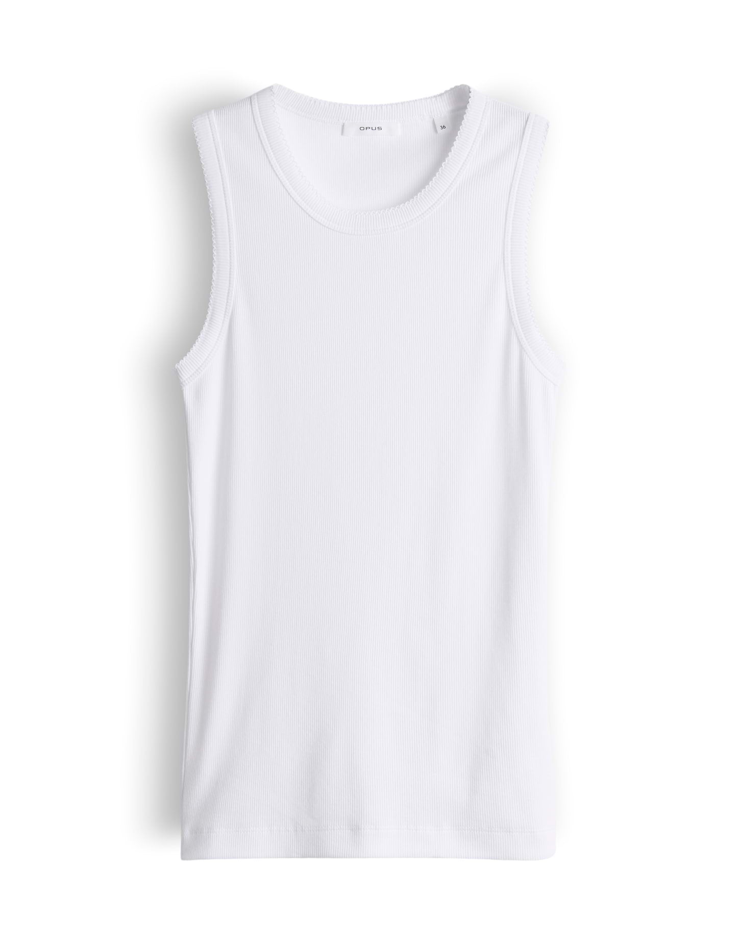 Top | Ilesso scallop