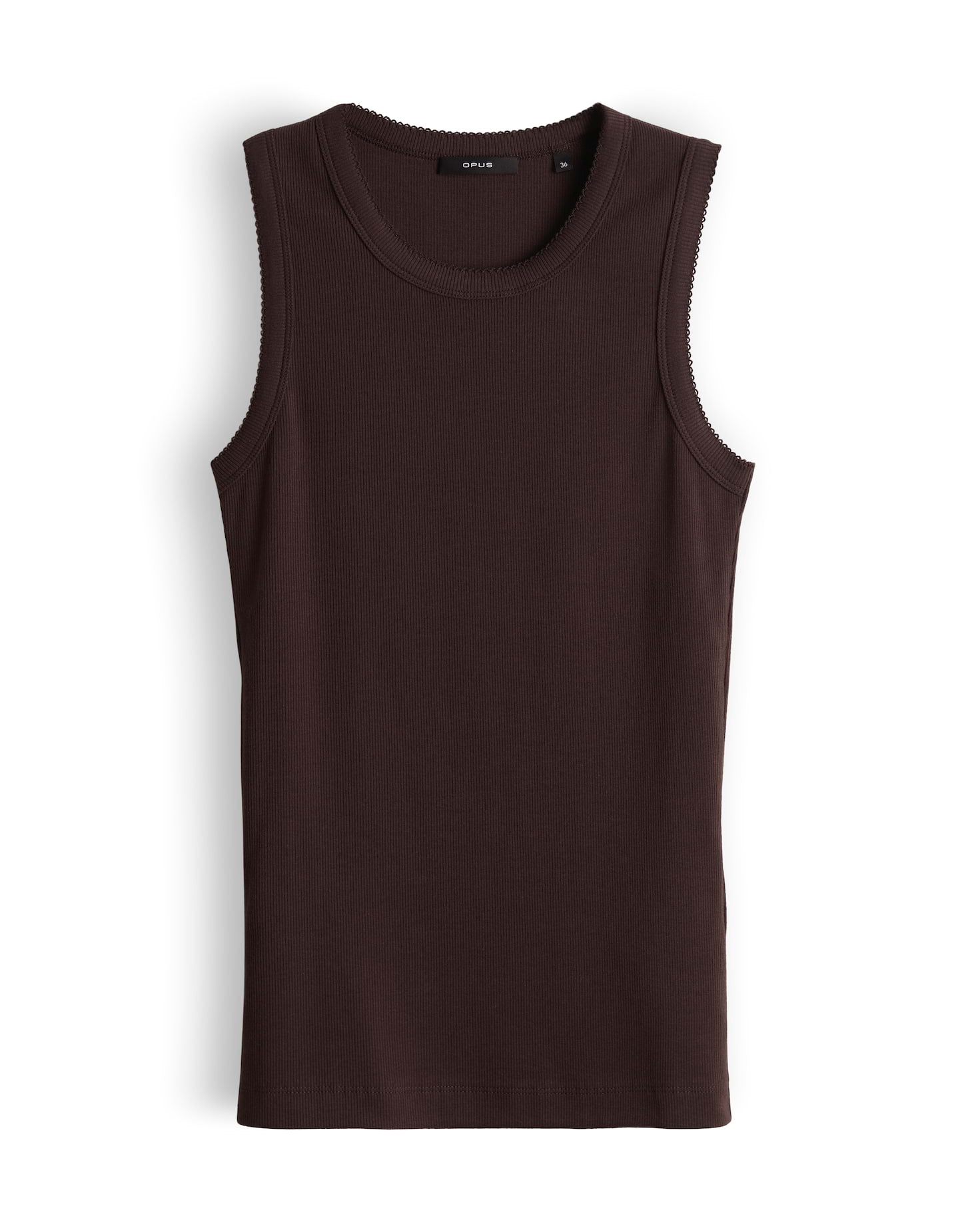 Top | Ilesso scallop