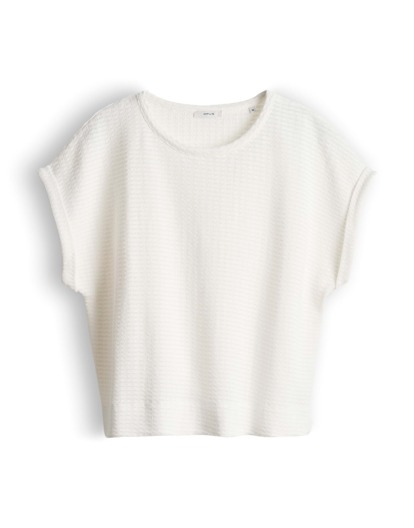 Shirt | Sishell