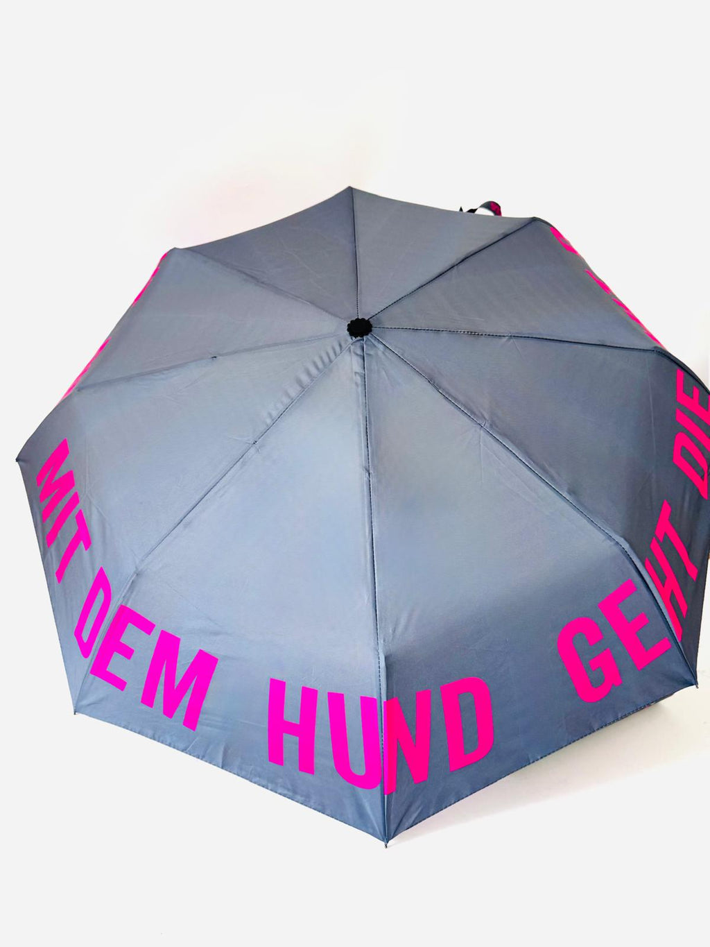 Regenschirm | Die mit dem Hund geht