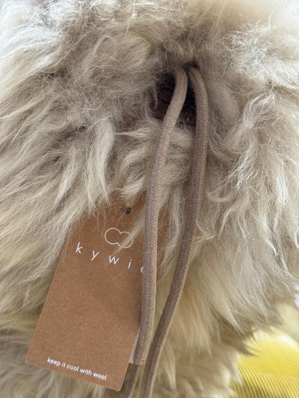 Champagner-Kühler | fluffy