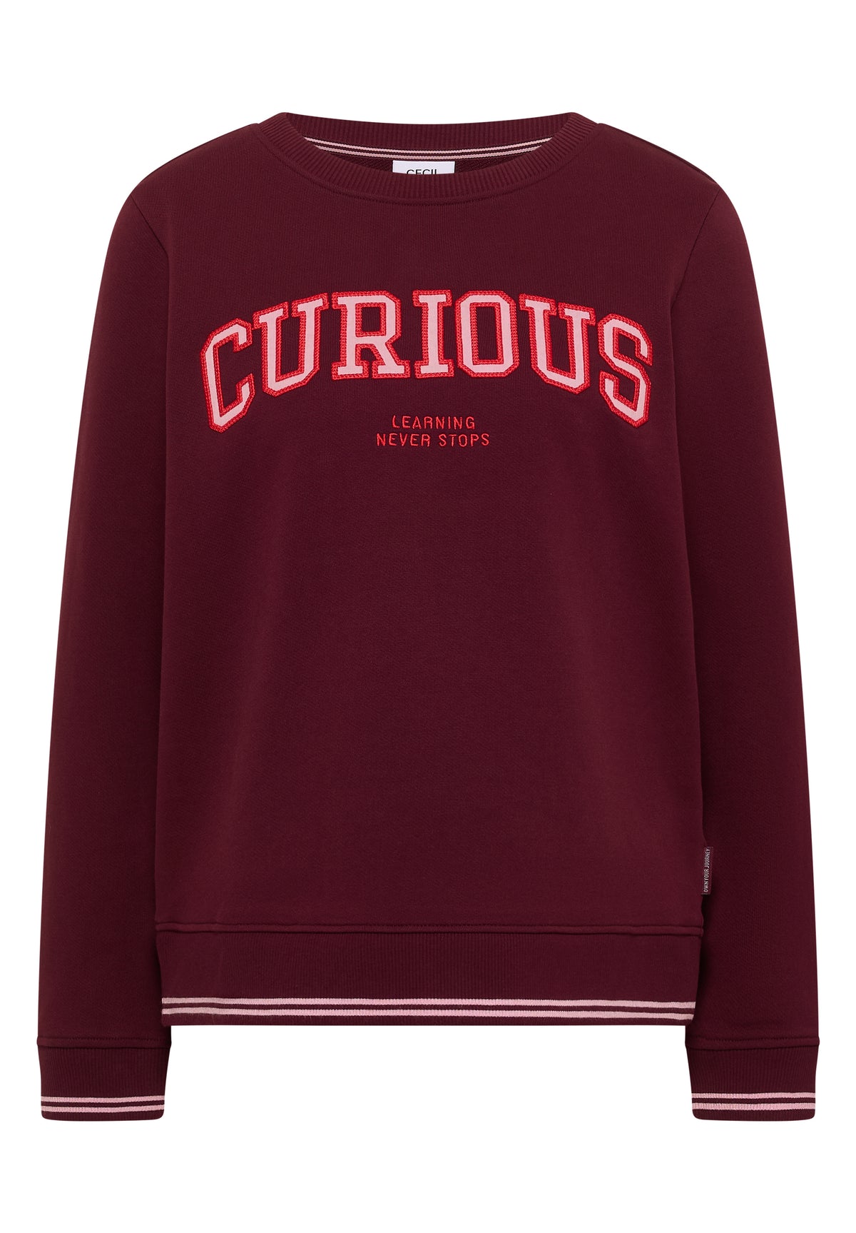 Sweatshirt mit Rundhals und Stickerei
