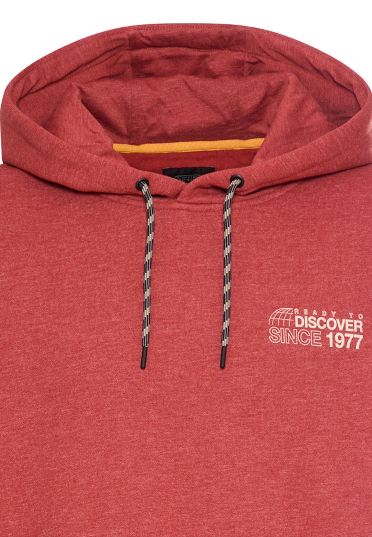Hoodie mit Rückenprint