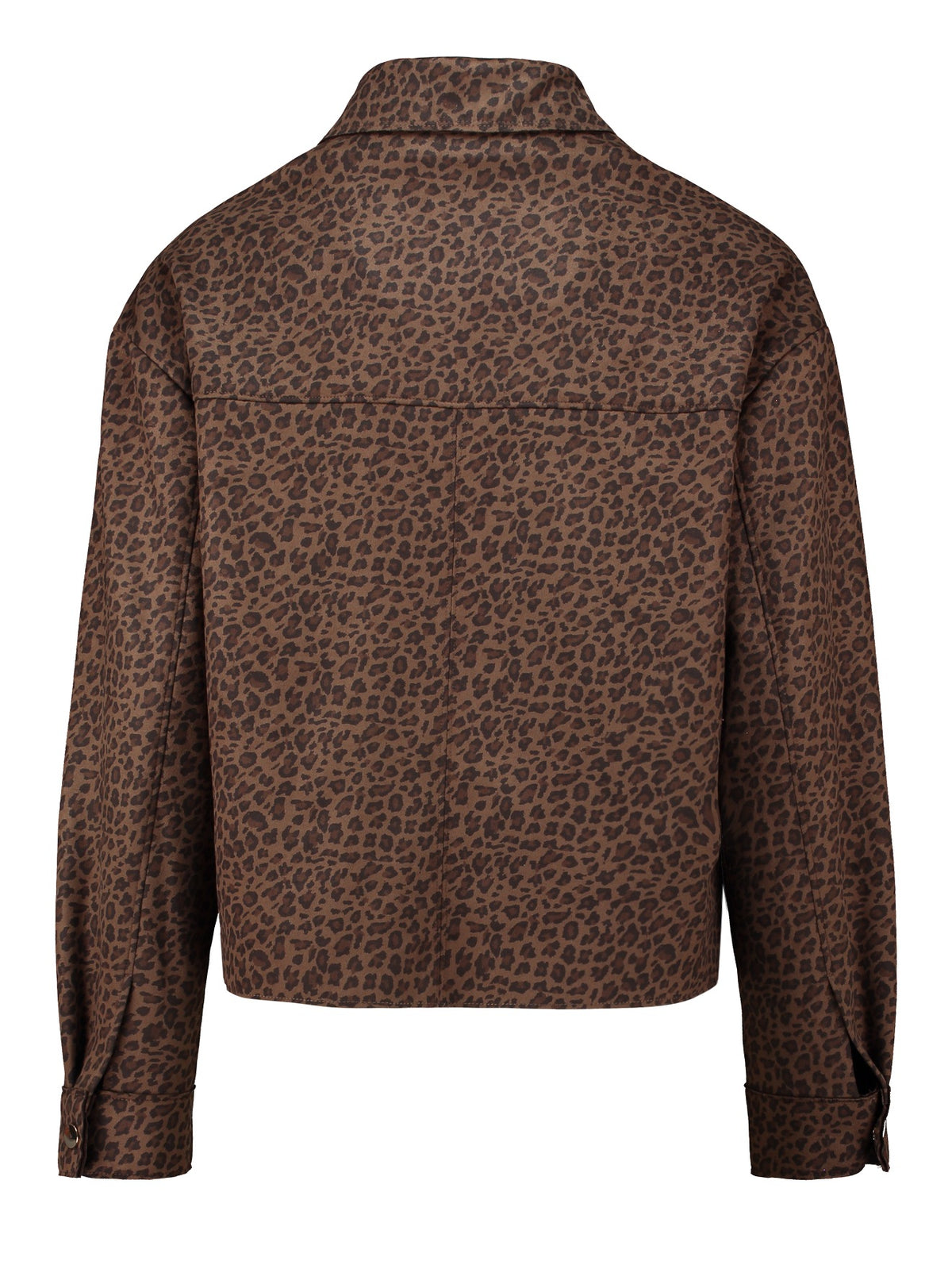 Hemdbluse Heather mit Leo-Print von Haily´s