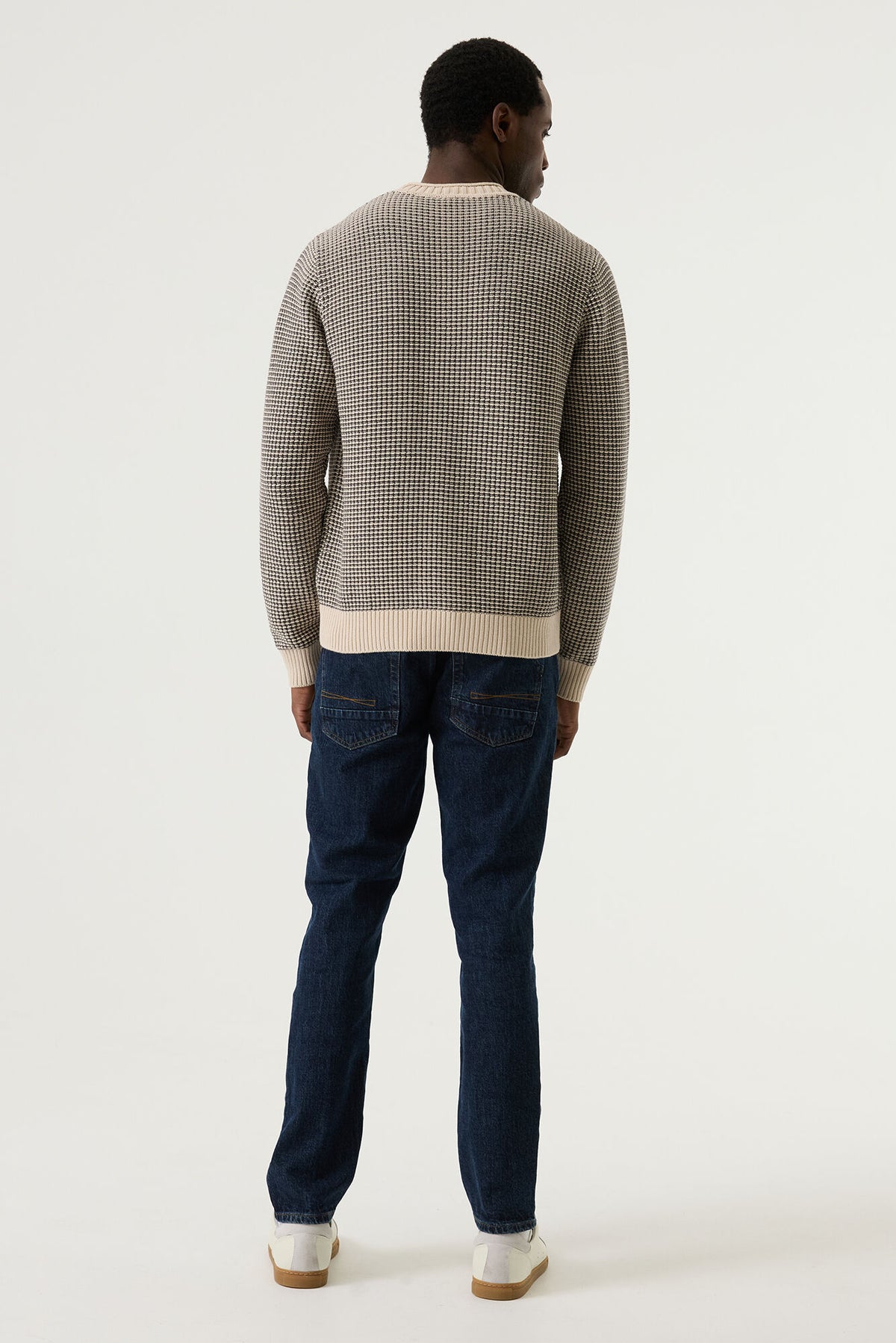 V261241